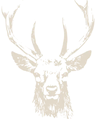 Cervus